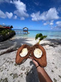 Fare RekaReka - Fakarava - 3