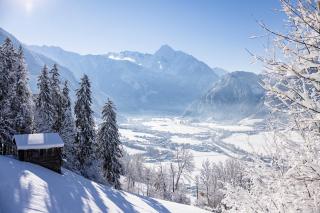 ALPENGLOW Apartment - AlpenLuxus Collection - 3