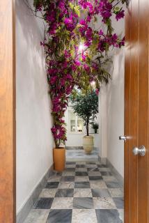 Genteel Home Patrocinio Cádiz - 3