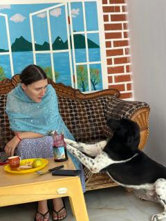 Sunrise Bed & Breakfast - 4