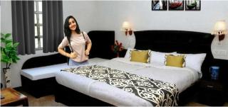 Hotel Palm Tree Near Taj Mahal Agra - 2