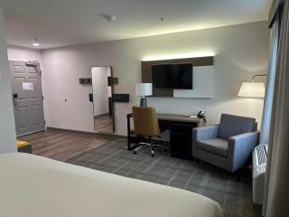 Comfort Inn & Suites Savannah Airport - 1