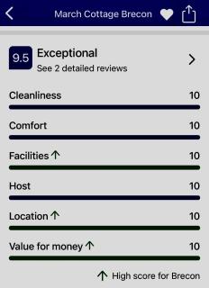 March Cottage Brecon - 9