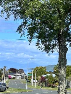 Modern Taupo Retreat - 1