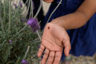 Tuscan Farmhouse - 3