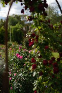 Tuscan Farmhouse - 1