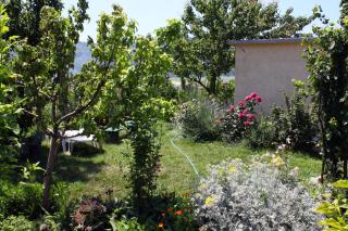 Apartments with parking space Kampor, Rab - 4972 - 2