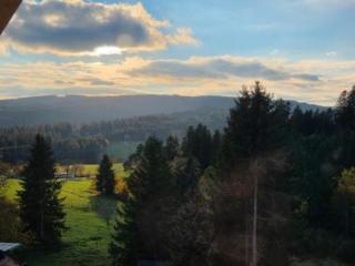 Schwarzwaldblick Rothaus - Faulenfürst - 5