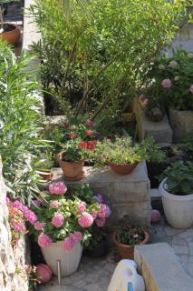 Apartment Mali Losinj 8093b - 2