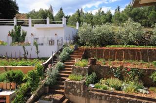 Apartments and rooms with parking space Jelsa, Hvar - 8798 - 1