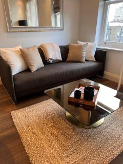 Gorgeous Light Contemporary Apt in Notting Hill - 8