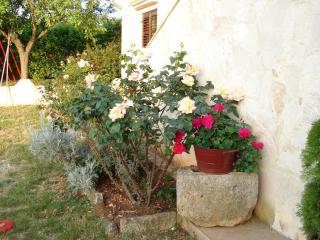 Apartments with a parking space Vodnjan, Fazana - 11556 - 1