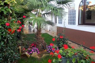 Apartments with parking space Porec - 7033 - 2