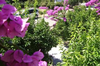 Apartment Stari Grad 8686d - 1