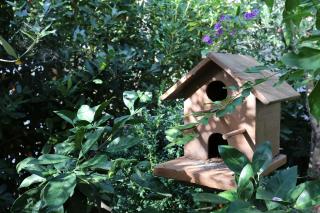 Apartments by the sea Zecevo Rtic, Rogoznica - 10334 - 1