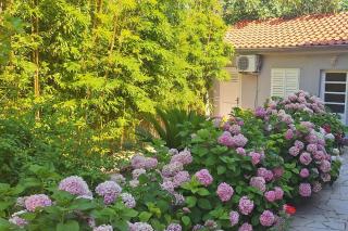 Apartment Rab 14515b - Rab - 1