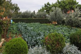 Apartments with parking space Vrsi - Mulo, Zadar - 5796 - 1