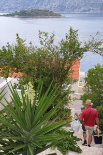 Apartments by the sea Kneza, Korcula - 20892 - 1