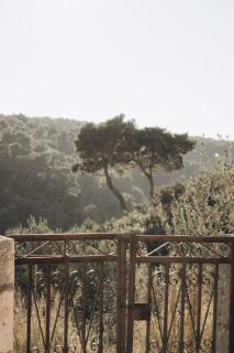 Family friendly house with a swimming pool Selca, Brac - 24224 - 1