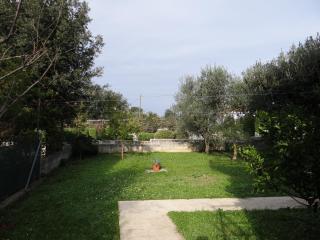 Apartments by the sea Zadar - Diklo, Zadar - 23703 - Zadar - 1