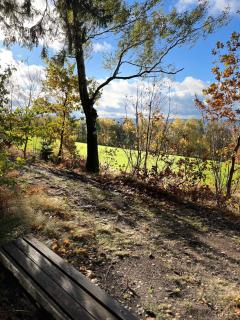 Romantische Ferienwohnung für 5 mit Hund im Erzgebirge - 5