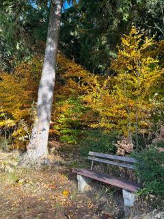 Romantische Ferienwohnung für 5 mit Hund im Erzgebirge - 2
