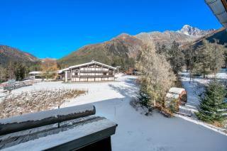 Résidence La Verte 27 ski in/ski out - Happy Rentals - 9