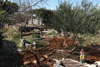 Apartments with a parking space Rogac, Solta - 5165 - 2