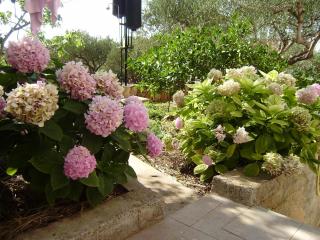 Apartments by the sea Splitska, Brac - 5664 - 1