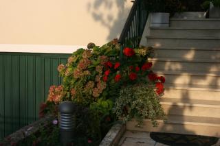 Apartments with a parking space Novigrad - 7020 - 1