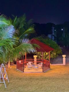 Sagar Mango Farm - 7