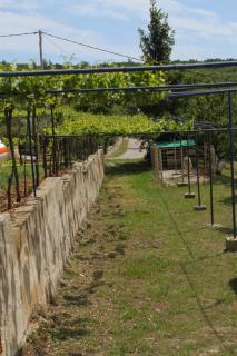 Apartments with parking space Trget, Rasa - 7687 - 1