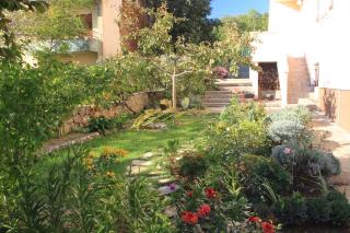 Apartments for families with children Zdrelac, Pasman - 8424 - Ždrelac - 1