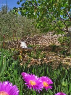 Apartments with parking space Sumpetar, Omis - 11798 - 1