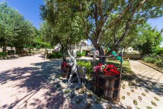 Apartments by the sea Zdrelac, Pasman - 12662 - 2