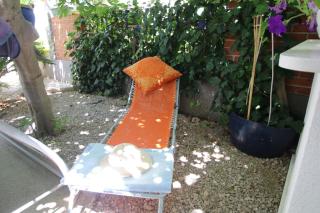 Seaside holiday house Sucuraj, Hvar - 15141 - 1