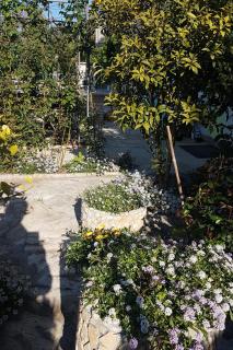 Studio Sveti Filip i Jakov 16759c - 2