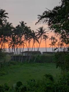 Brook by the Sea - Varkala - 9