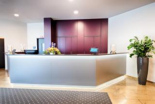 ACHAT Hotel Neustadt an der Weinstraße - Neustadt an der Weinstraße - 5