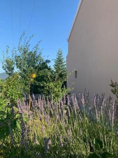 Apartments with parking space Katuni, Zagora - 18344 - Šestanovac - 4