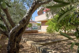 Apartments with parking space Kanica, Rogoznica - 20091 - 1