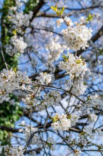 Apartments for families with children Grabovac, Plitvice - 20709 - 2