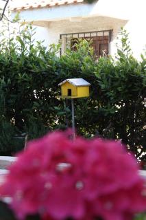 Apartments with parking space Zadar - Diklo, Zadar - 9671 - 1