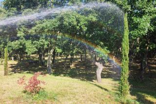 Holiday house with a swimming pool Poljica, Zadar - 24133 - 2