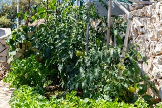 Seaside house for families with children Cove Ramascica, Trogir - 23368 - 1