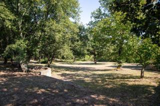 Apartments with parking space Sveti Lovrec, Central Istria - Sredisnja Istra - 24888 - 4