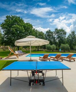 Holiday house with a swimming pool Tar - Porec - 22774 - 1