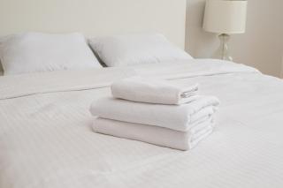 Kolska Spacious Apartment by BookingHost - 8