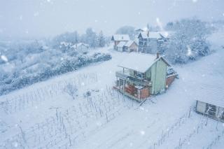 Village House Belec - 9