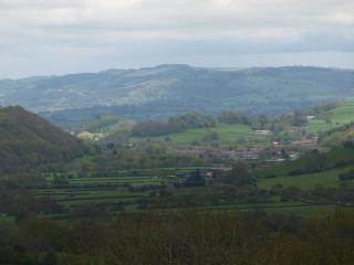 Alpaca Hideaway at The Birches - 9